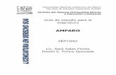 AAMMPPAARROO - UNAM · Burg oa Orihuela Ignacio. (1983). El juicio de amparo (20ª Edición). México : Porrúa, pp. 145 -181 . Presentación En los textos recomendados encontrarás