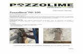 Información Técnica Pozzolime INJ-100pozzolime.com/pdf/POZZOLIME-INJ100-TDS-esp.pdfInformación Técnica Pozzolime®INJ-100 Mortero fluido para inyección Descripción del Producto