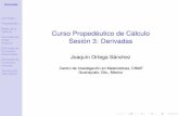 Curso Propedéutico de Cálculo Sesión 3: Derivadasjortega/MaterialDidactico/MaePrope/Clase3Pres.pdfDerivadas de Orden Superior Derivadas de Funciones Elementales Derivadas de Funciones