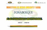Plan Estratégico Institucional 2010 - Fondo Nacional de ... · FONDO NACIONAL DE DESARROLLO FORESTAL 2 200 La Paz Bolivia ... destacando la castaña. 5 COSUDE-INTERCOOPERATION, PROBONA,