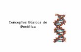 Conceptos Básicos de Genética©tica-generalidades.pdfidentificar y cartografiar los genes del genoma humano desde un punto de vista físico (secuenciación) y funcional (qué codifica