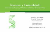 Genoma y Ensambladoamoreira/bio10/Genoma_y_Ensamblado.pdfGenoma Humano Algunos datos El 25% del genoma humano est a casi desierto, existiendo largos espacios libres entre un gen y