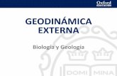 GEODINÁMICA EXTERNA · Geodinámica externa © Oxford University Press España, S. A. Biología y Geología 5 SEDIMENTACIÓN Es el asentamiento de los materiales en las cuencas sedimentarias.