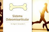 Sistema Osteomioarticular...Esqueleto •Armazón duro del cuerpo de los animales, que en el humano está formado por el conjunto de huesos y cartílagos unidos por las articulaciones.