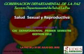Salud Sexual y Reproductiva · 2019-07-12 · •Plan para Mejorar la Salud Materna, Perinatal y Neonatal –2010: Lanzamiento del Plan a nivel departamental. –2011: Desarrollo