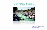 Genocidio Bosnio - WordPress.com · 1995 (Masacre de Srebrenica), o bien a la limpieza étnica que tuvo lugar durante 1992-1995 en la llamada guerra de Bosnia. Aunque se buscó especialmente