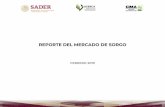 REPORTE DEL MERCADO DE SORGO · el año 2015/16, cuando los cultivos se vieron afectados por la plaga del pulgón amarillo. -• En el año comercial 2018/19 se estima que se importaran