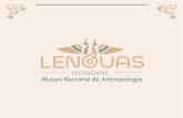 LAS LENGUAS MESOAMERICANAS · 2019-08-06 · Leonardo Manrique propone que en el 1500 a.C. las lenguas de la familia Yutoazteca, proveniente del actual sur de Estados Unidos, penetró