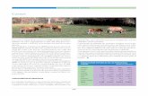 Carnes - oviespana.com · Continuando con la tendencia de años anteriores, el número de explotaciones de ovino (cebo, leche, etc.) en España volvió a caer en 2009. En concreto