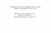 DDEEPPAARRTTAAMMEENNTTOO DDEE …blog.iescastillodecote.es/wp-content/uploads/2019/11/ev... · 2019-11-12 · programaciÓn didÁctica curso 2019/2020 Índice 1. componentes del departamento