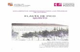 FLAUTA DE PICO QUINTO - Conservatorio Palenciaconservatoriopalencia.centros.educa.jcyl.es/sitio/upload/... · 2013-12-18 · 1 DOCUMENTOS ORIENTATIVOS PARA LAS PRUEBAS DE ACCESO FLAUTA