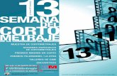 13ª MUESTRA DE CORTOMETRAJES DE LA COMUNIDAD DE …portal.uc3m.es/portal/page/portal/dpto_periodismo_comunicacion... · 13ª MUESTRA DE CORTOMETRAJES DE LA COMUNIDAD DE MADRID Cine