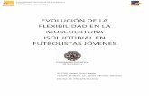 EVOLUCIÓN DE LA FLEXIBILIDAD EN LA MUSCULATURA ...Por eso, en la literatura científica se describen métodos indirectos para la exploración de la musculatura isquiosural. Pruebas