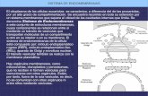 Sistema de Endomembranascentros.edu.xunta.es/iesastelleiras/depart/bioxeo/lgazon/... · 2010-11-17 · -Cara trans o de maduración. Está orientada hacia la membrana plasmática