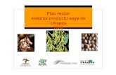 Plan rector sistema producto soya de chiapas 2006• Integración y organización del Sistema Producto Soya del Estado de Chiapas. • Capacitación a recursos humanos en el uso y