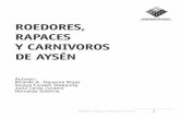 ROEDORES, RAPACES Y CARNIVOROS DE AYSÉNsvsch.ceachile.cl/.../Biodiversidad/2006_Roedores_rapaces_carnivoros.pdf · en la medida que disminuyen las presas (ratones). Cuando uno de