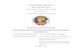 Descripción estética de las representaciones de la naturaleza en …renati.sunedu.gob.pe/bitstream/sunedu/187157/1/2017... · 2019-12-13 · creación artística de la cultura inca