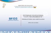 MINISTERIO DE EDUCACION · 2019-02-21 · En fecha 12 de julio de 2016, el área de mapeo y caracterización ocupacional del SPCC, emite el Informe IN/VEAE/ESPCC N° 0240/2016 de