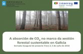 A absorción de CO2 no marco da xestión forestal ... · Importancia dos sumidoiros de carbono na Lei de montes de Galicia A consellaría competente en materia de montes articulará,