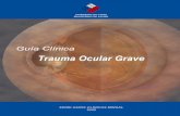 Guía Clínica 2009 Trauma Ocular Grave - Gobierno de Chile · 2013-09-26 · más del 60 % de la superficie de la córnea, opacidades corneales, anillos de óxido, hifema, pupila