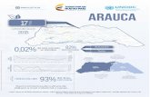ARAUCA - Observatorio de Drogas de Colombia · arauca reducción del del área con coca Fuerte presencia de cultivos de plátano a nivel industrial y cacao. entre 2010 y 2015 93%
