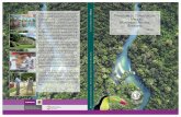 M P C RogRAMA dE oCNSERvA ióN MANEjo MoNUMENTo … · 2012-02-01 · 4 Programa de Conservación y Manejo Monumento Natural Bonampak puestas que precisan los atributos más conspicuos