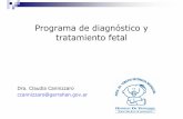 Programa de diagnóstico y tratamiento fetalJustificación de la creación de un PDTF en un Hospital Público Pediátrico Única opción terapéutica para pacientes con MC (tratables)