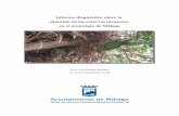 Informe diagnóstico sobre la situación de las cotorras invasoras …centrozoosanitario.malaga.eu/export/sites/default/ambiente/zoosanita... · Este informe analiza la situación