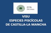 Visu Especies Piscícolas de Castilla-La Mancha · ESPECIES CON APROVECHAMIENTO PISCÍCOLA EN CASTILLA-LA MANCHA Salmo trutta. Trucha común.