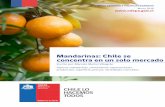Mandarinas: Chile se concentra en un solo mercado · ducción y de consumo de mandarinas de las últimas 10 temporadas es de 5,2%, y 5,9% respectivamente. Esto se sustenta principal-mente