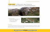 LIG 141 Filones de hierro en Laia-El Sauco (Galdames) · 2014-07-07 · INVENTARIO LUGARES DE INTERÉS GEOLÓGICO EN LA COMUNIDAD AUTÓNOMA DEL PAÍS VASCO INGURUMEN ETA LURRALDE