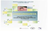 MINISTERIO DE SALUD DE COSTA RICA · 2018-04-06 · LNRV Laboratorio Nacional de Referencia Virologica OPS Organización Panamericana de la Salud RSI Reglamento Sanitario Internacional