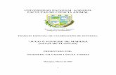 UNIVERSIDAD NACIONAL AGRARIA FACULTAD DE CIENCIA …repositorio.una.edu.ni/1363/1/tna50l296.pdf · FACULTAD DE CIENCIA ANIMAL TRABAJO ESPECIAL DE CULMINACIÓN DE ESTUDIOS: “JUGO