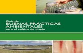 ISBN: Pendiente número - cnpml-honduras.orgcnpml-honduras.org/wp-content/uploads/docu_tecnicos/GBPA/GBPA_Tilapia.pdf · parte del Apoyo a la República de Honduras para el Cumplimiento