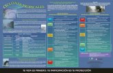 InformeNovDic2004proteccioncivil.gob.mx/work/models/ProteccionCivil/... · Centro Nacional de Prevención de Desastres SEGOB Secretaría de Gobernación Coordinación General de Protección