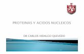 DR CARLOS HIDALGO QUEVEDO - cpu.usmp.edu.pecpu.usmp.edu.pe/intranetcpu/ppt05/5-Lima-Hidalgo-Biologia-BioquimicaIII.pdf · Son sustancias orgánicas exógenas (fuera del organismo),