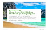 Filipinas: Corón, El Nido, Bohol y Siquijor · 458 ejemplares de esta especie en el litoral filipino. Las principales amenazas a las que se enfrenta el tiburón ballena tienen que