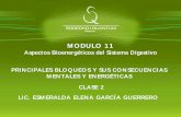 MODULO 11 - sociedadquantum.com · MODULO 11 Aspectos Bioenergéticos del Sistema Digestivo PRINCIPALES BLOQUEOS Y SUS CONSECUENCIAS MENTALES Y ENERGÉTICAS CLASE 2 LIC. ESMERALDA