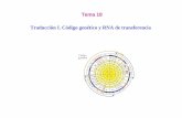 Tema 18 Traducción I. Código genético y RNA de transferenciapersonal.us.es/csm/docs/teoria/Tema 18. Alumnos.pdf · apareamiento (balanceo wobble) entre la primera base del anticodón