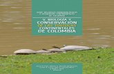 DE LAS TORTUGAS CONTINENTALES DE COLOMBIAcarr/Echeverri-Garcia-etal_2012_Rhinoclemmys_melanosterna-species...de investigación sobre la biodiversidad acuática continental de Colombia,