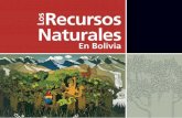 Recursos Naturales - CEDIB | Centro de Documentación e ... · Sumando los ecosistemas podemos llegar a unidades más gran-des como los biomas, por ejemplo, ... caracterizado por