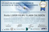 Centro de Entrenamiento en Investigación y …Perito LUVIER FELIPE TEJADA CALDERÓN C.C. Nº 1077843519 (COLOMBIA) ha nalizado y APROBADO el curso de DIPLOMATURA EN ANIMACIÓN GRÁFICA