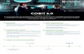Cobit 5 - Cibertec · COBIT 5.0 Duración: 16 horas El curso proporciona los conocimientos y habilidades necesarias para la identificación de los principios y catalizadores de Cobit
