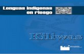 9 789707531161 REPERTORIO DE CANTOS · el caso del uso del zapoteco en el Istmo de Tehuantepec.3 Cabe aclarar que el rango de lenguas indígenas en riesgo no se ha hecho por hogares;