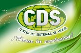 Humanización de los Servicios - CDS · Conocer y comprender conceptos básicos sobre la humanización de los ... Todo el personal asistencial y administrativo de a una organización