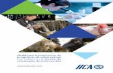 Guía para la preparación de programas de salud animal con énfasis en el diseño de ... · 2018-02-05 · vi Guía para la preparación de programas de salud animal con énfasis