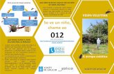 Ayuntamiento de A Coruña - Diferenciación da Vespa velutina coa … · 2020-01-22 · especie, pois evita a produción de novas raíñas e a formación de niños no ano seguinte.