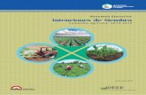 Resumen Ejecutivo Intenciones de Siembra · 2014-08-12 · (2014-2015) en 1,3% (12 152 hectáreas menos) en comparación con lo ejecutado de estos mismos cultivos en la campaña agrícola