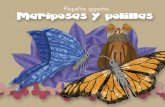 Tito Curioso te eva a conocer el mundo de las Mariposas y ...bioteca.biodiversidad.gob.mx/janium/Documentos/12597.pdf · Soy Tito Curioso y te invito a conocer las bellas mariposas