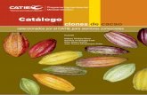 Catálogo - World Cocoa Foundation · En el Proyecto Cacao Centroamérica (PCC) del CATIE, trabajamos en incrementar la productividad, diversidad y valor financiero y ambiental de